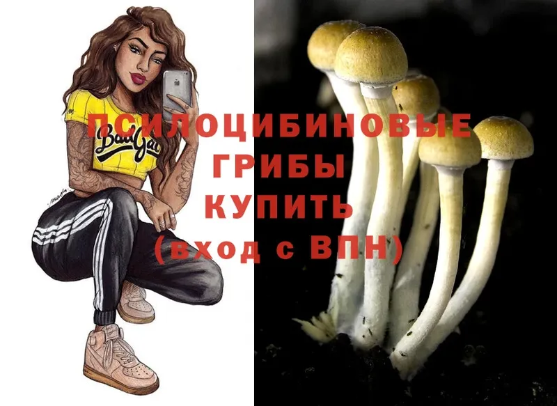 kraken ONION  где купить   Аксай  Псилоцибиновые грибы прущие грибы 